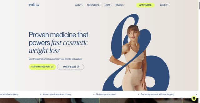 Security scan screenshot of https://startwillow.com