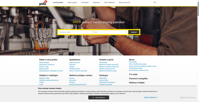 Security scan screenshot of https://www.info.lt