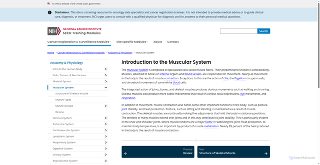 Security scan screenshot of https://training.seer.cancer.gov/anatomy/muscular/