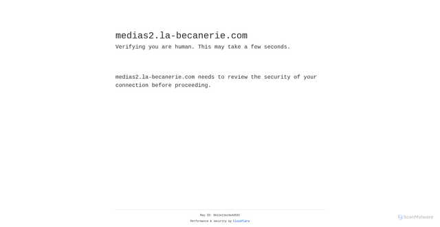 Security scan screenshot of https://medias2.la-becanerie.com