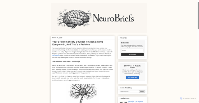 Security scan screenshot of https://neurobriefs.pages.dev/2026/03/your-brains-sensory-bouncer-is-stuck-letting-every.html