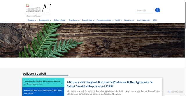 Security scan screenshot of https://www.agronomiforestalichieti.it