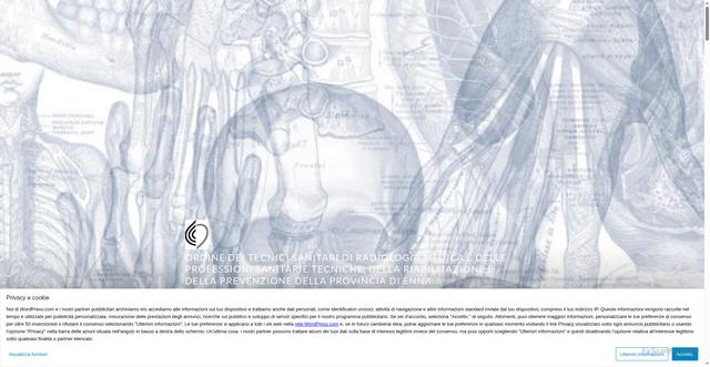 Security scan screenshot of https://tsrmenna.com/
