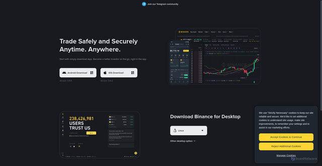 Security scan screenshot of https://app.binance.com/uni-qr/N1yHNruG