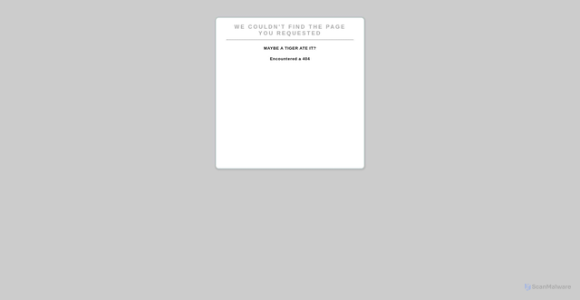 Security scan screenshot of https://zme-caps.amazon.com
