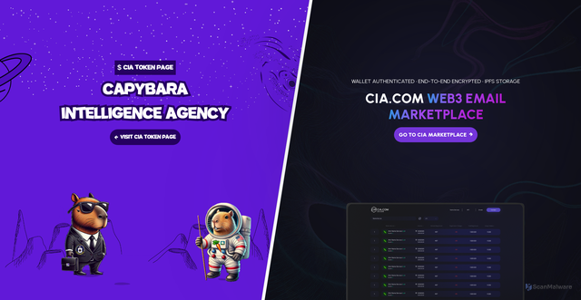 Security scan screenshot of https://www.cia.com