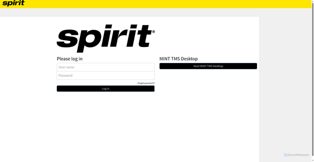 Security scan screenshot of https://spirit.mint-online.com