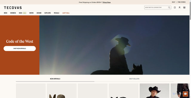 Security scan screenshot of https://www.tecovas.com/