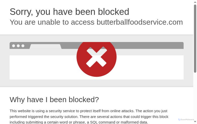 Security scan screenshot of https://www.butterballfoodservice.com/