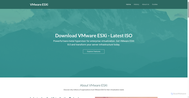 Security scan screenshot of https://vmware-esxi.org/