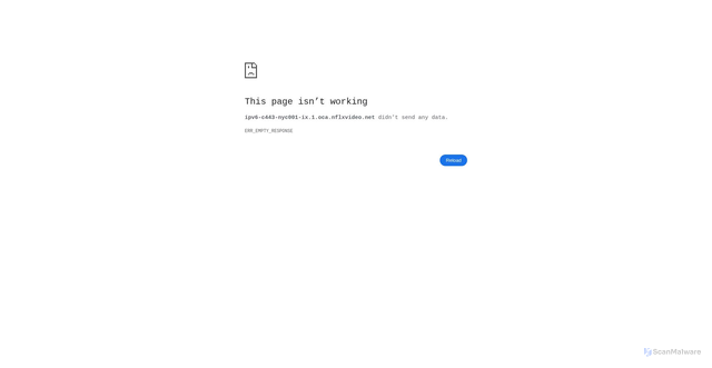 Security scan screenshot of https://ipv6-c443-nyc001-ix.1.oca.nflxvideo.net