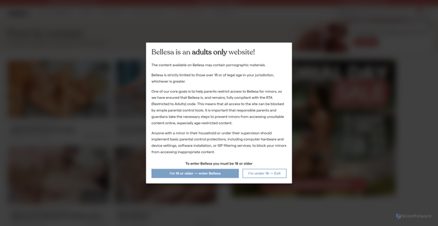 Security scan screenshot of https://www.bellesa.co