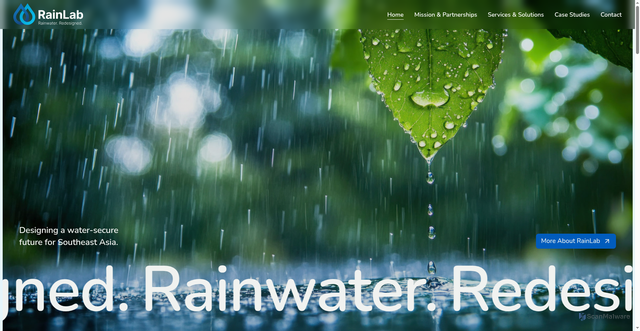Security scan screenshot of https://www.rainlab.asia/