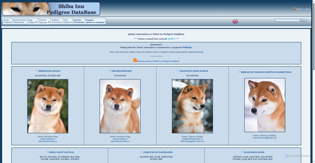 Security scan screenshot of https://shiba-pedigree.ru