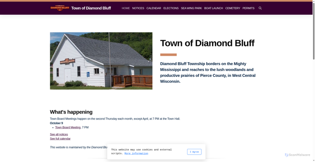 Security scan screenshot of https://diamondbluffwi.gov/