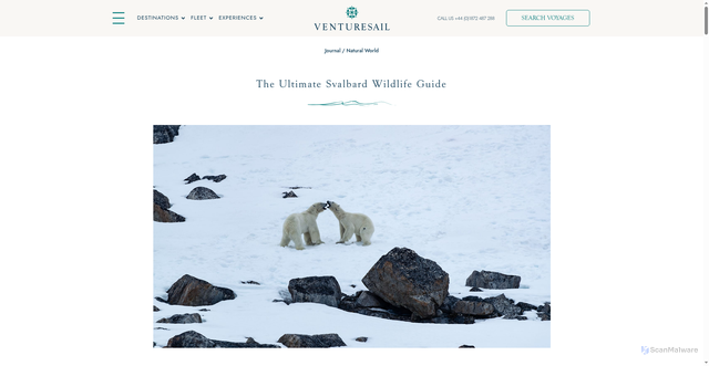 Security scan screenshot of https://venturesailholidays.com/svalbard-wildlife-guide/