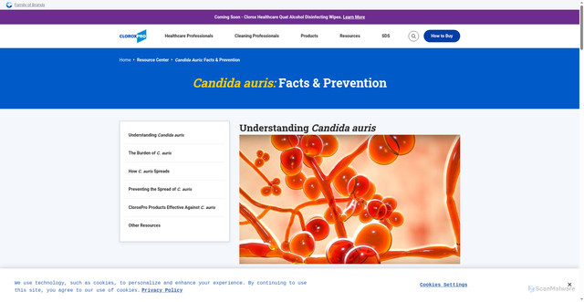 Security scan screenshot of https://www.cloroxpro.com/resource-center/candida-auris/