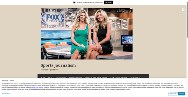 Security scan screenshot of https://womeninsportsjournalism.wordpress.com/erin-andrews/