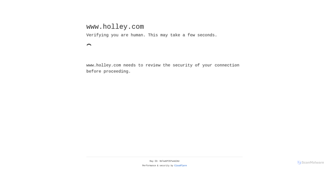 Security scan screenshot of https://www.holley.com