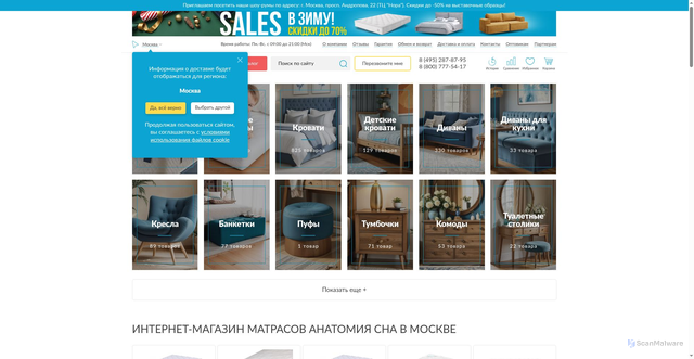 Security scan screenshot of https://anatomiyasna.ru