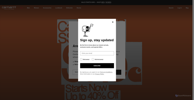 Security scan screenshot of https://us.carhartt-wip.com