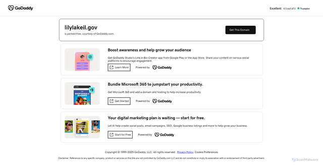 Security scan screenshot of https://lilylakeil.gov/