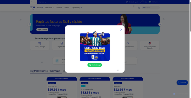 Security scan screenshot of https://tigosvopas.help/