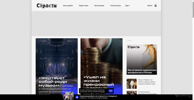 Security scan screenshot of https://www.passion.ru