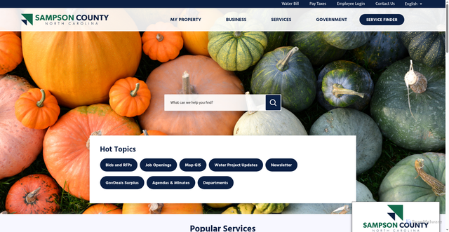 Security scan screenshot of https://www.sampsoncountync.gov/