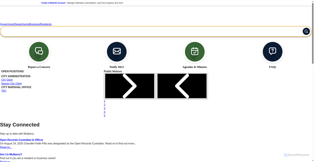 Security scan screenshot of https://www.mulberryga.gov/