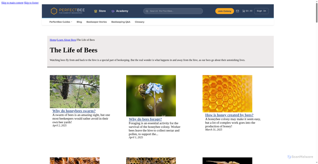 Security scan screenshot of https://www.perfectbee.com/learn-about-bees/the-life-of-bees
