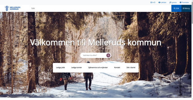 Security scan screenshot of https://mellerud.se/