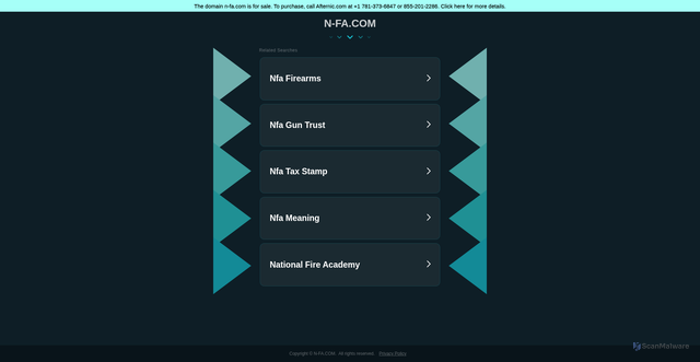 Security scan screenshot of https://www.n-fa.com/