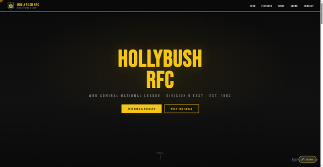Security scan screenshot of https://hollybush-vf05e8emqk.edgeone.app/