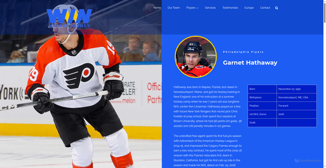 Security scan screenshot of https://winhockeyagency.com/hockey_players/garnet-hathaway/