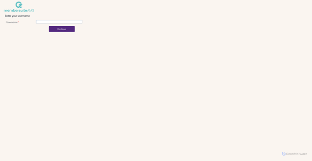 Security scan screenshot of https://console.membersuite.com