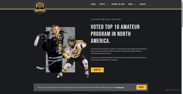 Security scan screenshot of http://bostonjuniorbruins.com/
