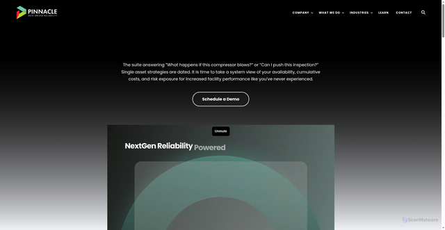 Security scan screenshot of https://pinnaclereliability.com/newton/