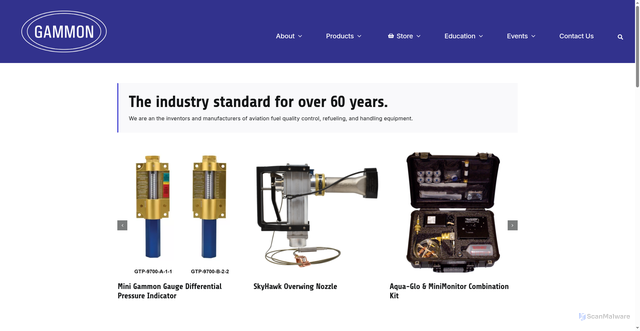 Security scan screenshot of https://www.gammontech.com