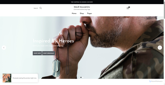 Security scan screenshot of https://elev8souvenirs.com