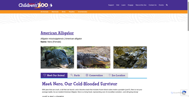 Security scan screenshot of https://www.saginawzoo.com/american-alligator/