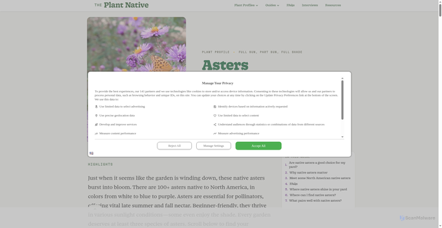 Security scan screenshot of https://theplantnative.com/plant/asters/