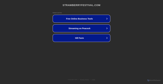 Security scan screenshot of https://www.strawberryfestival.com/