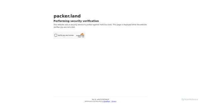 Security scan screenshot of https://packer.land/packers-vs-falcons-history/