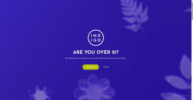 Security scan screenshot of https://www.indigodispensary.com/