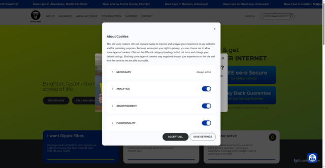 Security scan screenshot of https://ripplefiber.com/
