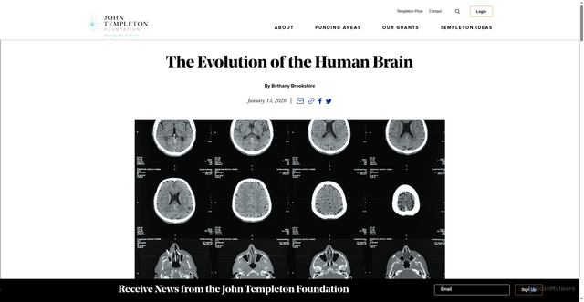 Security scan screenshot of https://www.templeton.org/news/the-evolution-of-the-human-brain