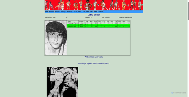 Security scan screenshot of https://www.nasljerseys.com/ABA/Players/B/Berg.Larry.htm