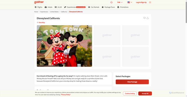 Security scan screenshot of https://www.gother.com/en-us/experiences/united-states/california/disneyland-california
