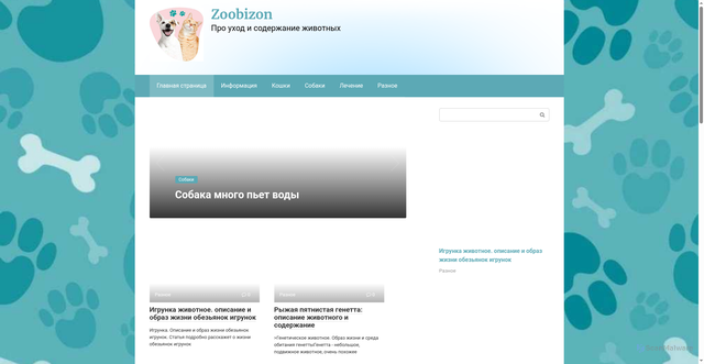 Security scan screenshot of https://zoobizon.ru